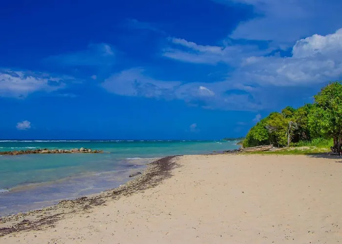 Malibu Ocean View Montego Bay