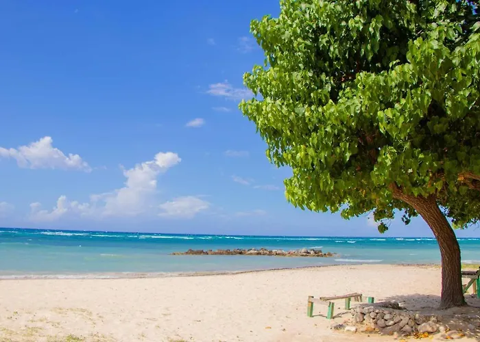 Malibu Ocean View Apartment Montego Bay