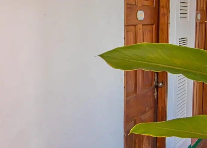 Malibu Ocean View Apartment Montego Bay